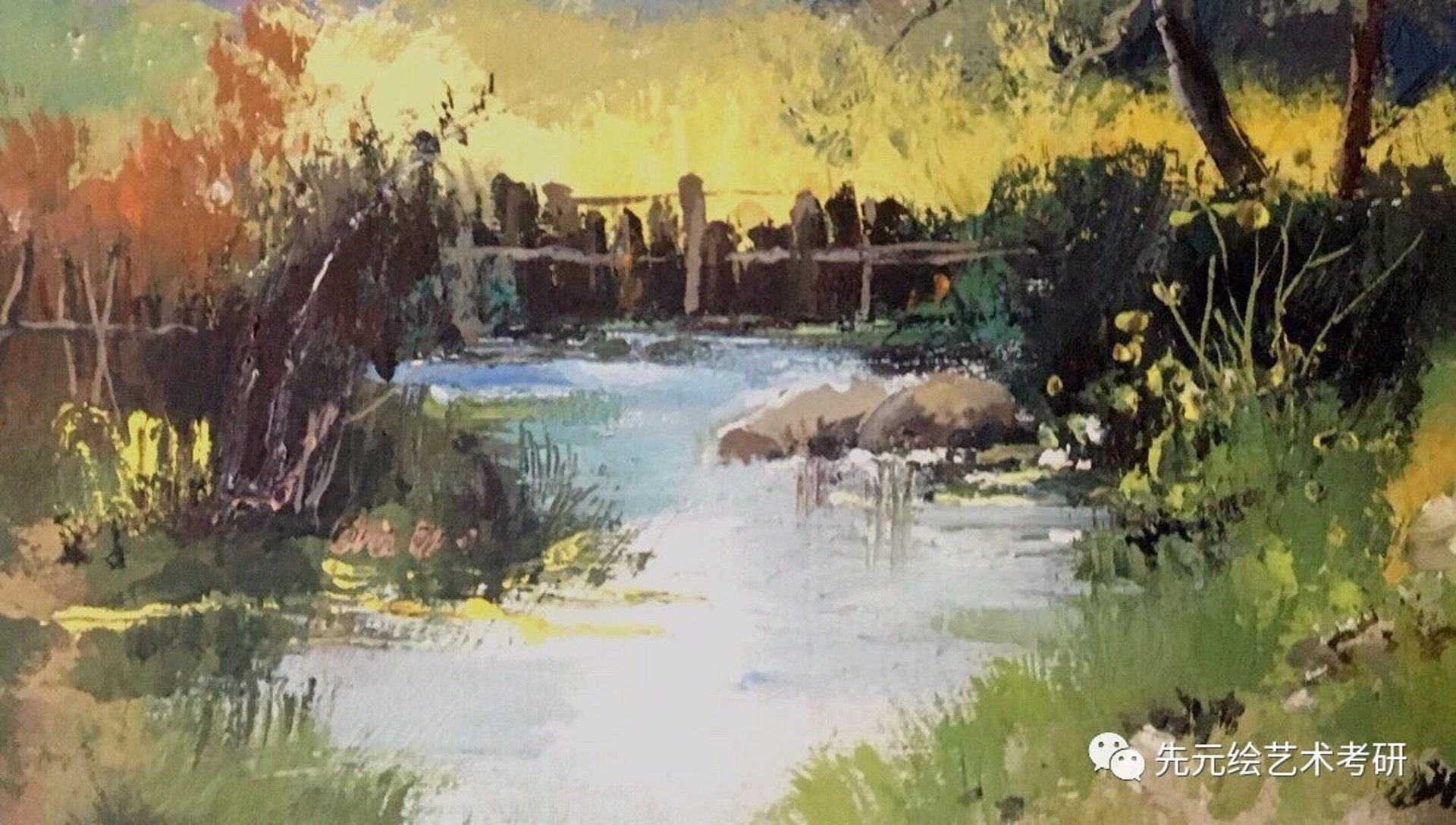 虎浪水景设备